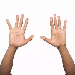 举手疗法视频,轻松缓解身体不适的神奇方法揭秘