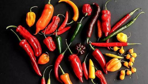 最能吃辣椒的视频,挑战极限！全球最能吃辣椒的壮举揭秘