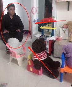 看病小视频,家庭常见病自我诊断与护理技巧