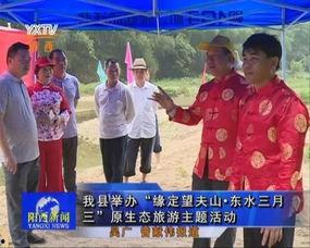 阳西新闻视频,聚焦本土发展，展现活力风采