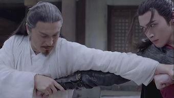 冰狼辅视频,揭秘冰雪世界的神秘魅力