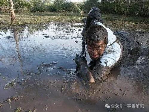 人陷入沼泽地视频,勇敢者沼泽地险境求生