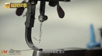 龙胆40连发弹弓视频,极限射击挑战,弹无虚发!